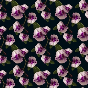 Dark Purple Orchid Flowers, Lush Botanic Garden Leafy Green Floral Pattern, Wallpaper or