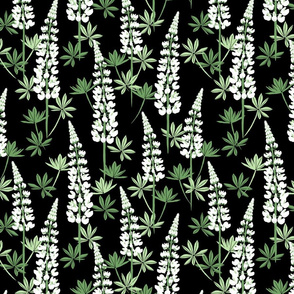 Lupine Fields - black white - medium scale