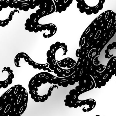 Black and White Octopus