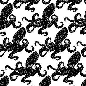 Black and White Octopus