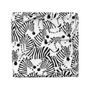 Jumbo Zebra Black and White