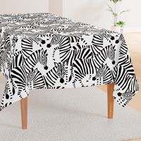 Jumbo Zebra Black and White