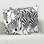 Jumbo Zebra Black and White