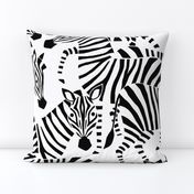 Jumbo Zebra Black and White