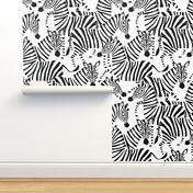 Jumbo Zebra Black and White