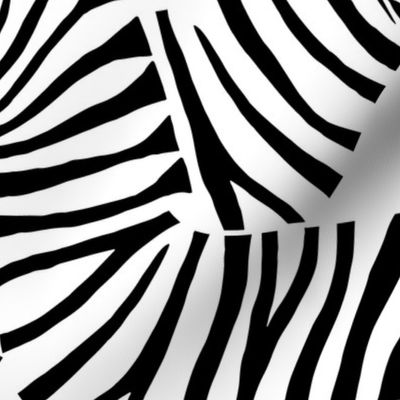 Jumbo Zebra Black and White