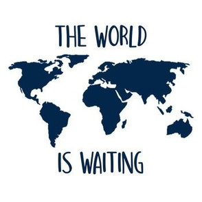 The world is waiting navy 