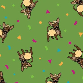 Chihuahua Taco Dog Confetti Green