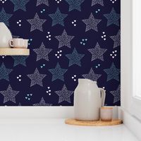 Christmas stars light dreamy winter night love blue navy