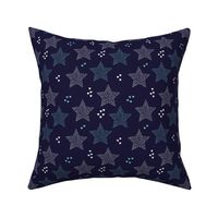 Christmas stars light dreamy winter night love blue navy