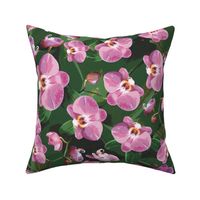 Pretty Pink Orchid Flowers, Vibrant Botanic Garden Leafy Green Plant, Colorful Floral Wallpaper or