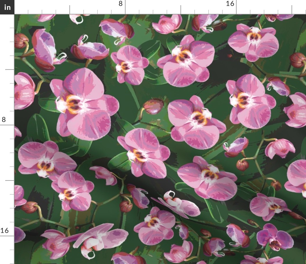 Pretty Pink Orchid Flowers, Vibrant Botanic Garden Leafy Green Plant, Colorful Floral Wallpaper or
