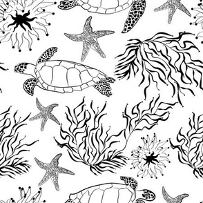 Water turtle black and white sketch