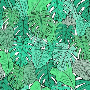 Tropical Leaves with White Background