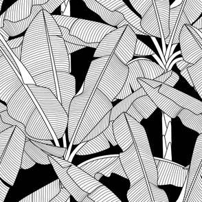 Banana Palms-Jumbo_White Leaves_Bg Black