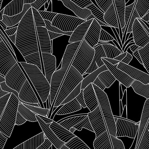 Banana Palms-Jumbo_White Lines_Bg Black