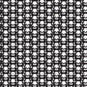 Pandas