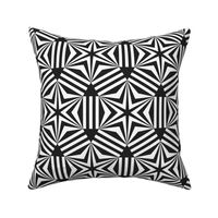 Nordic Star mosaic black white geometrics