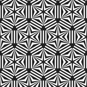 Nordic Star mosaic black white geometrics