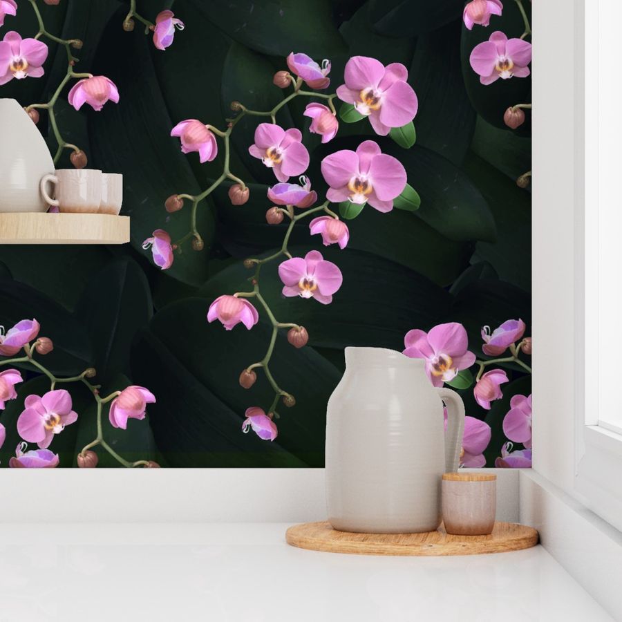 Pretty Pink Orchid Flowers, Bold Botanic Wallpaper | Spoonflower