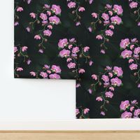 Pretty Pink Orchid Flowers Bold Botanic Moody Leafy Pattern Dark Florals Wallpaper