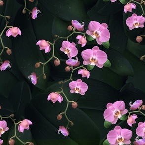 Pretty Pink Orchid Flowers, Bold Botanic Moody Leafy Pattern, Dark Florals Wallpaper or