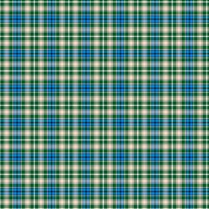 Green Blue Tan Small Scale Plaid with Black and White