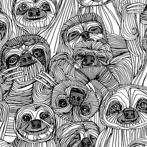 just sloths black white