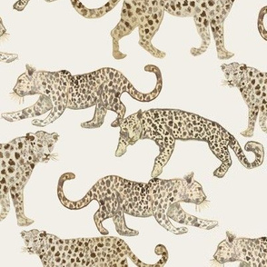 Leopards Lurking
