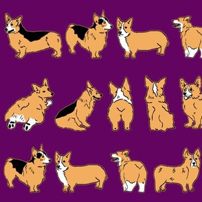 Corgi Stripes Purple