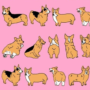 Corgi Stripes Pink