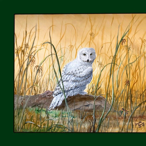 Snowy Owl Painting 