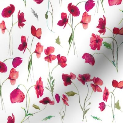 10" Pink Watercolor Poppies // White