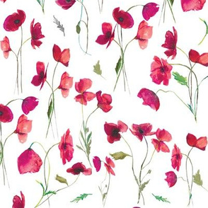 10" Pink Watercolor Poppies // White