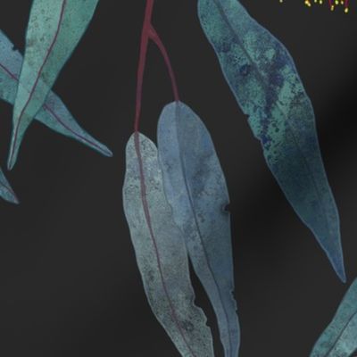 Eucalyptus leaves and flowers on dark grey