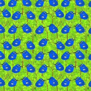 Blue Birds on Green Forest