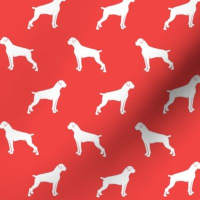 boxer dogs on red - docked tails