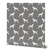 Boxer Dogs on grey