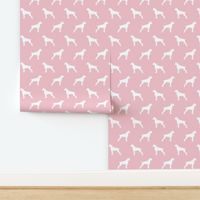 boxer dogs on pink - docked tails