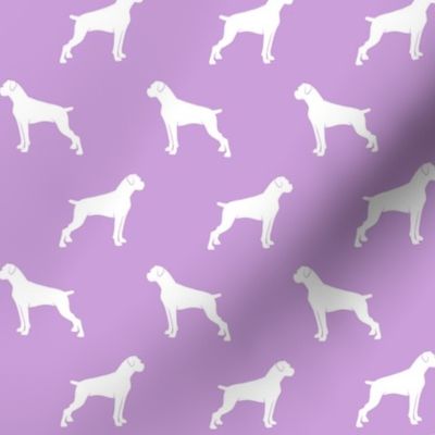 boxer dogs on purple - docked tails