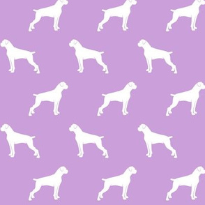 boxer dogs on purple - docked tails