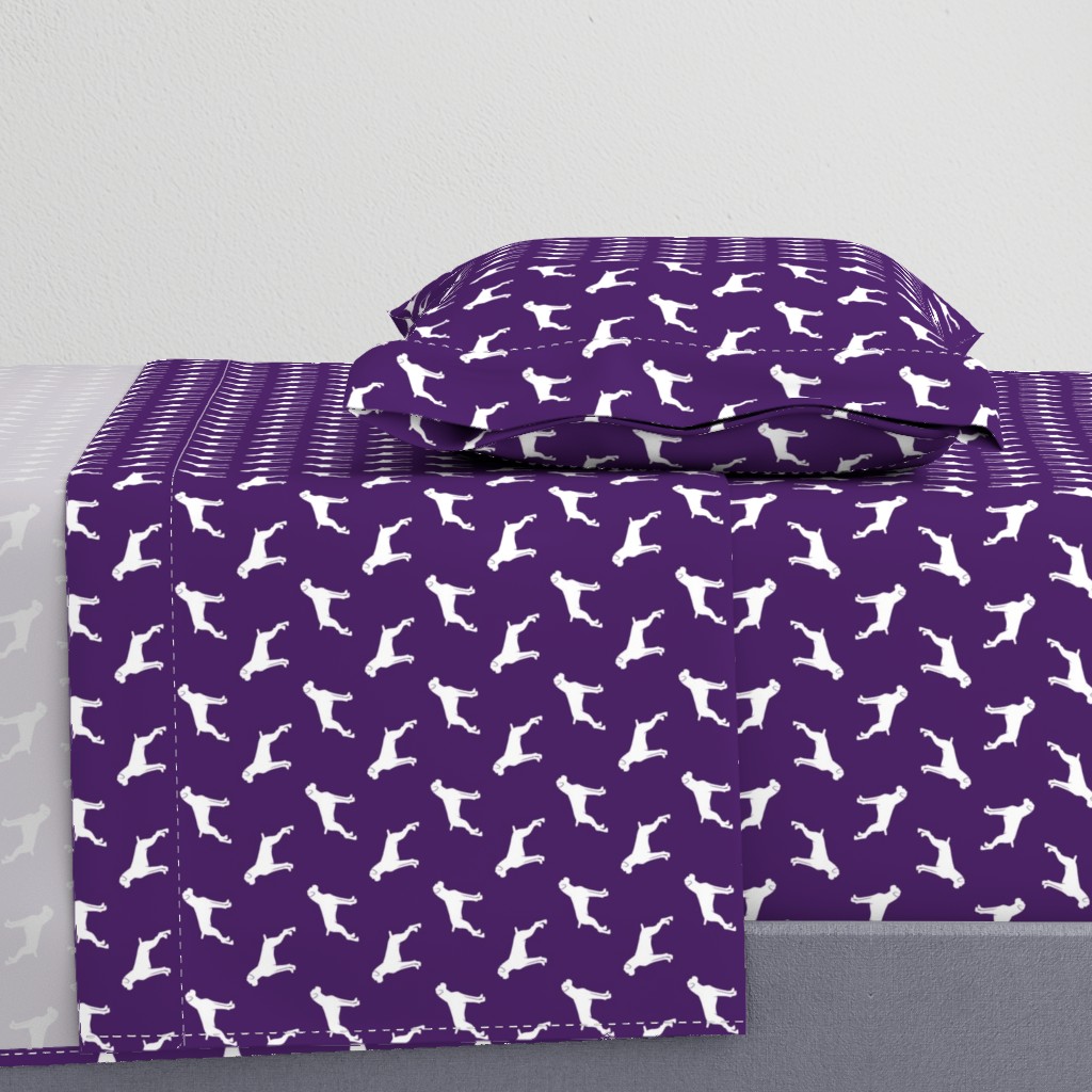 boxer dogs on dark purple  - docked tails