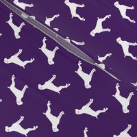 boxer dogs on dark purple  - docked tails