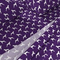 boxer dogs on dark purple  - docked tails