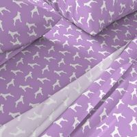 Boxer Dogs on purple - cropped ears & docked tail