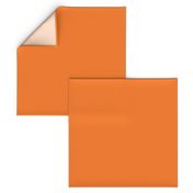 Scandinavian Orange // plain orange coordinate