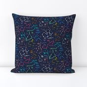 Colorful Zodiacs and Constellations