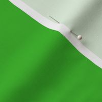 Scandinavian Green // green coordinate
