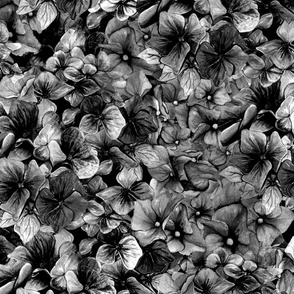 Large BALLET FLOWERS ONLY BLACK AND WHITE