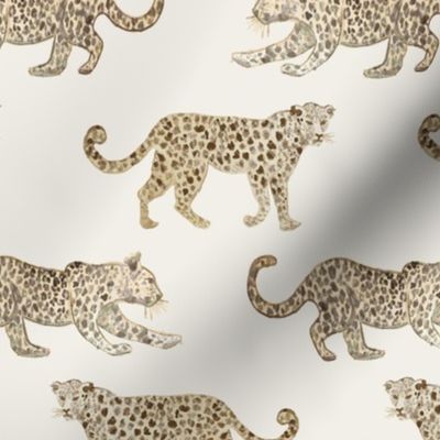 Leopard Parade Cream